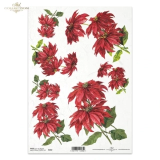 Ryžový papier ITD R0450